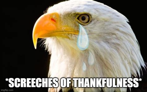 crying eagle meme